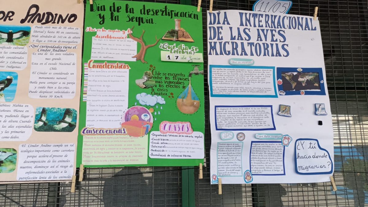 Feria Cientifica