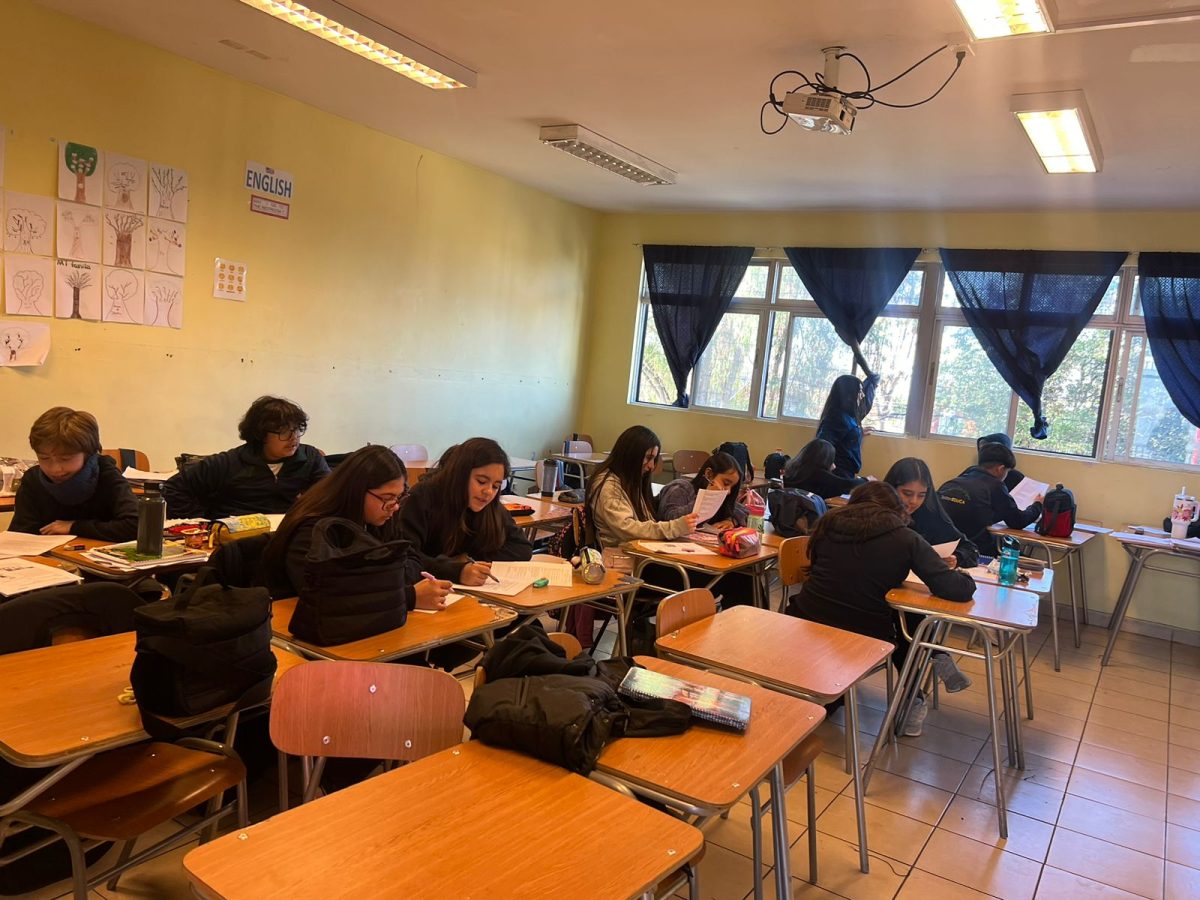 Mejorando la comprensión lectora con el Taller de Lenguaje para 7º Básico