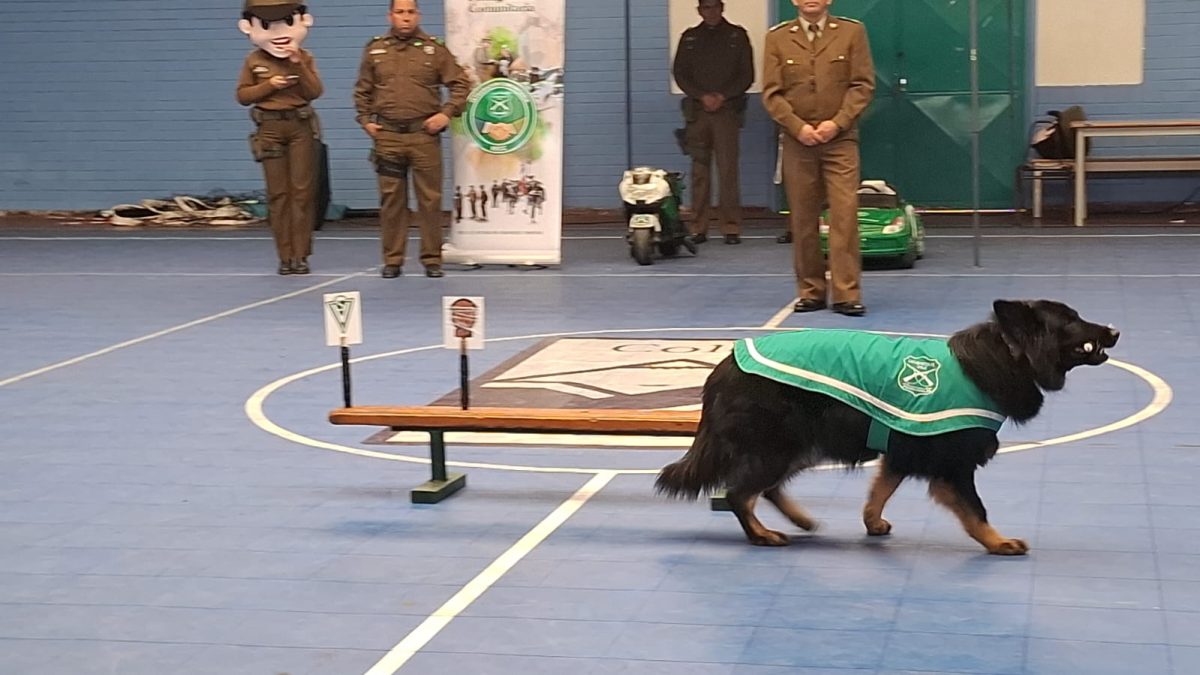 Cuadrante de Integración Comunitaria y Adiestramiento Canino