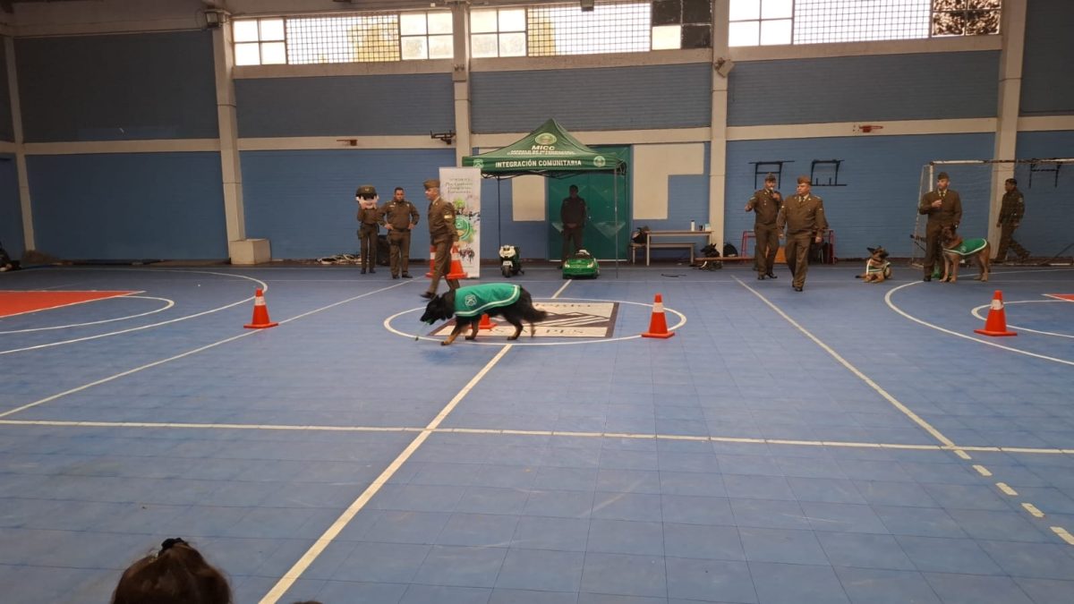 Cuadrante de Integración Comunitaria y Adiestramiento Canino