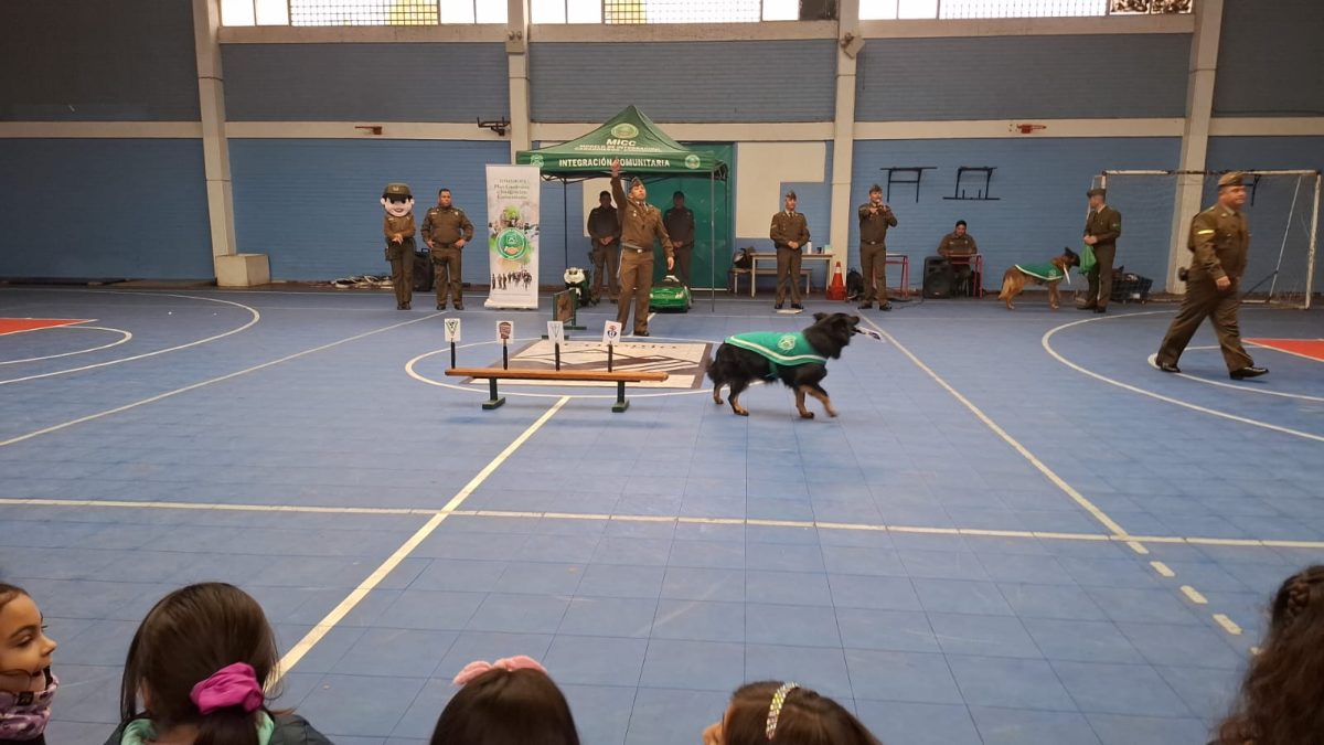 Cuadrante de Integración Comunitaria y Adiestramiento Canino
