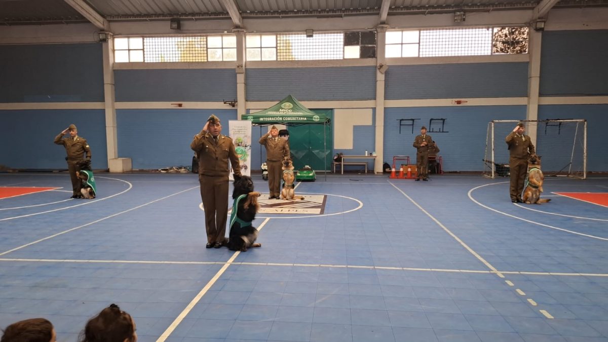 Cuadrante de Integración Comunitaria y Adiestramiento Canino