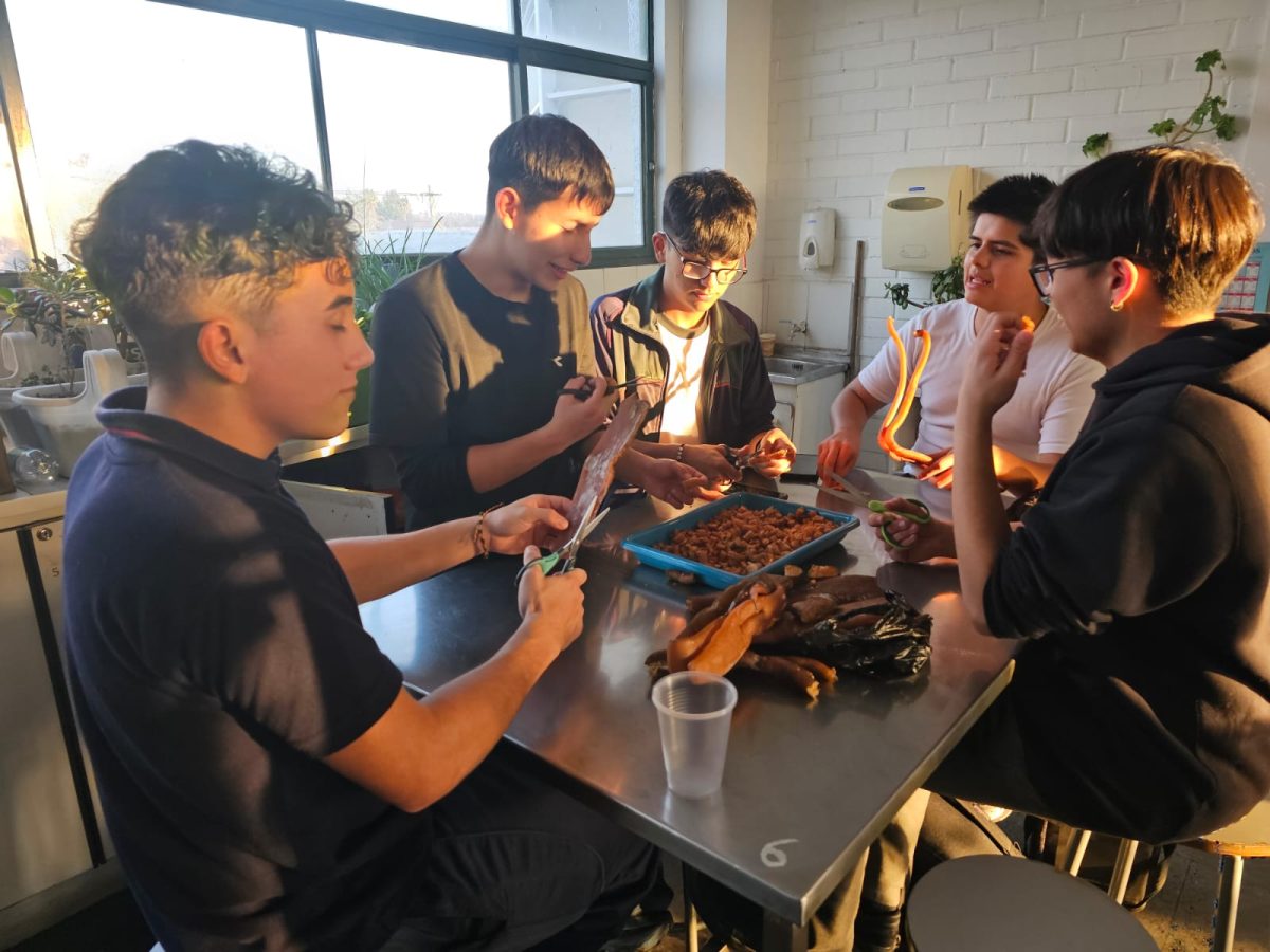 Taller de Ciencias de Los Alpi Científicos. 