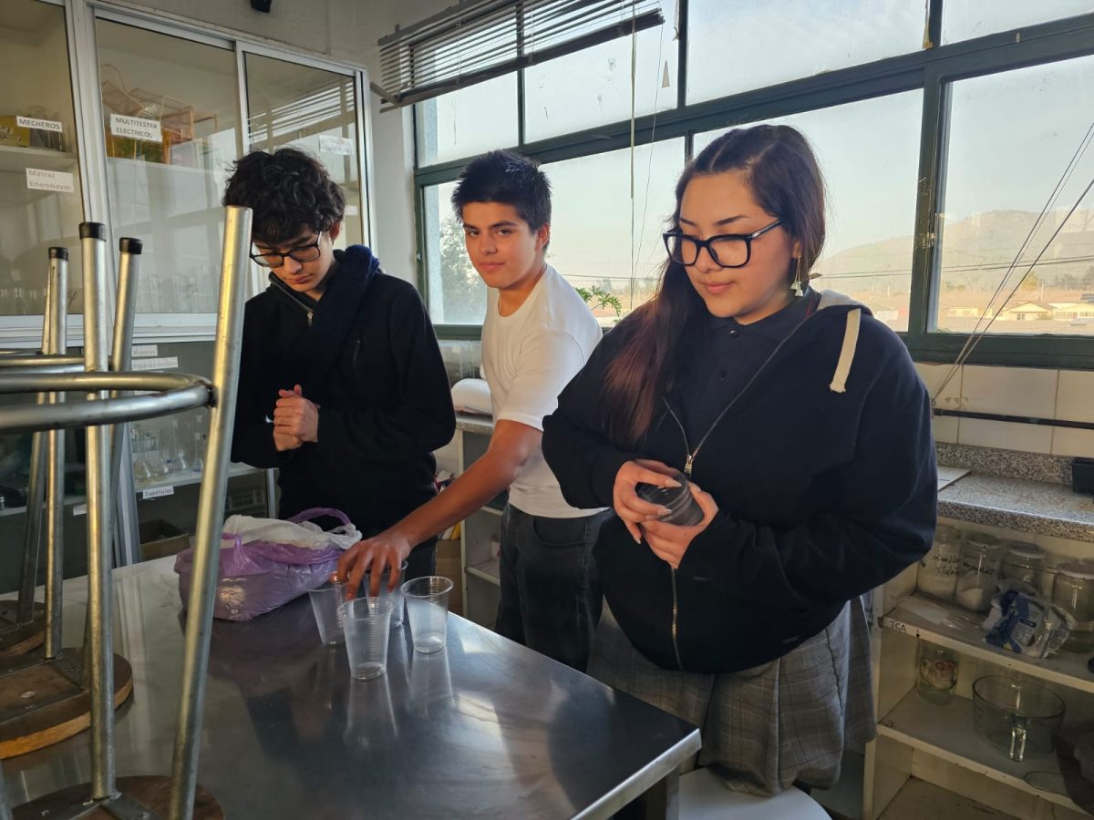Taller de Ciencias de Los Alpi Científicos. 