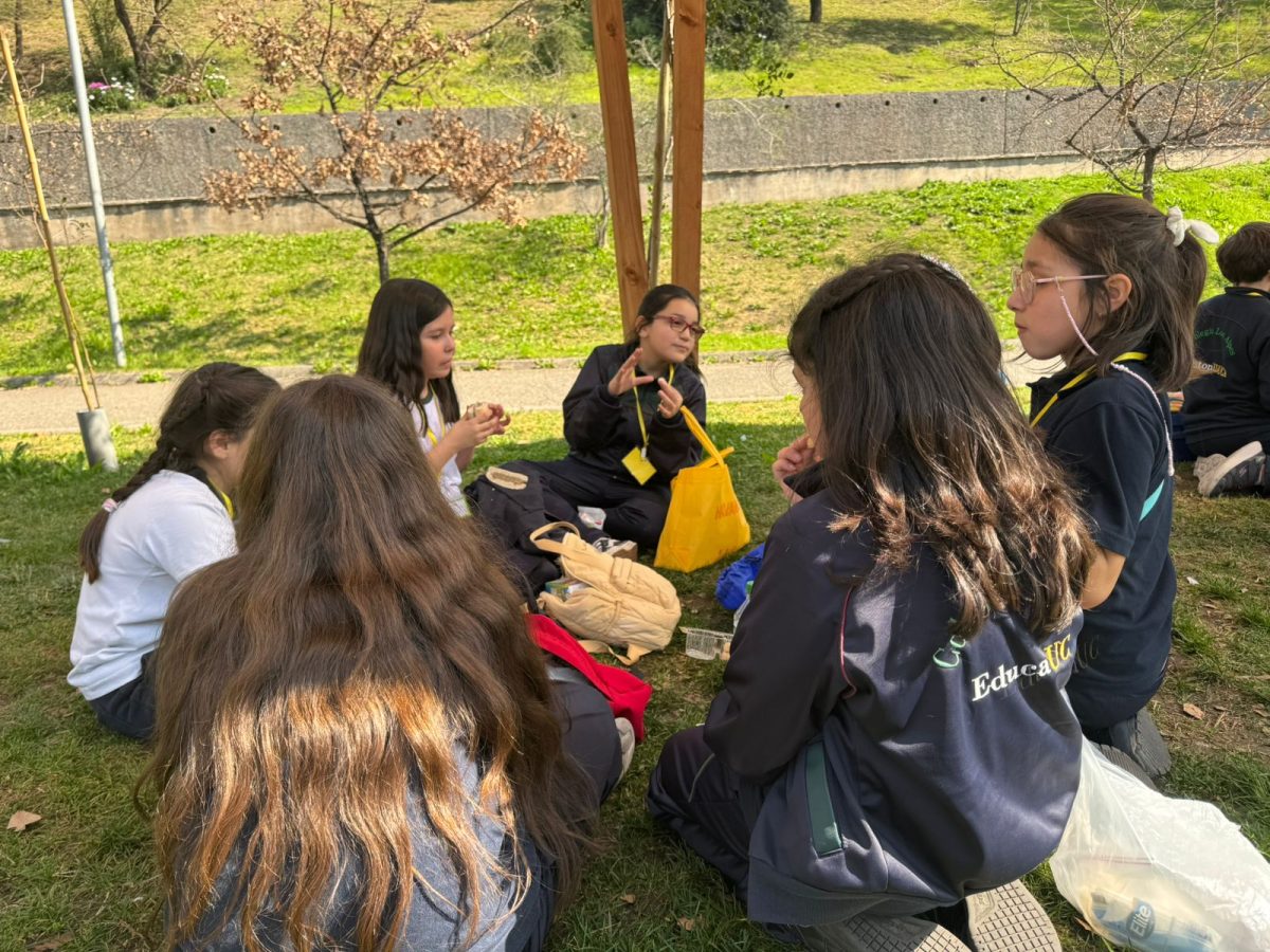 salida al MIM 4ºA y 4ºB