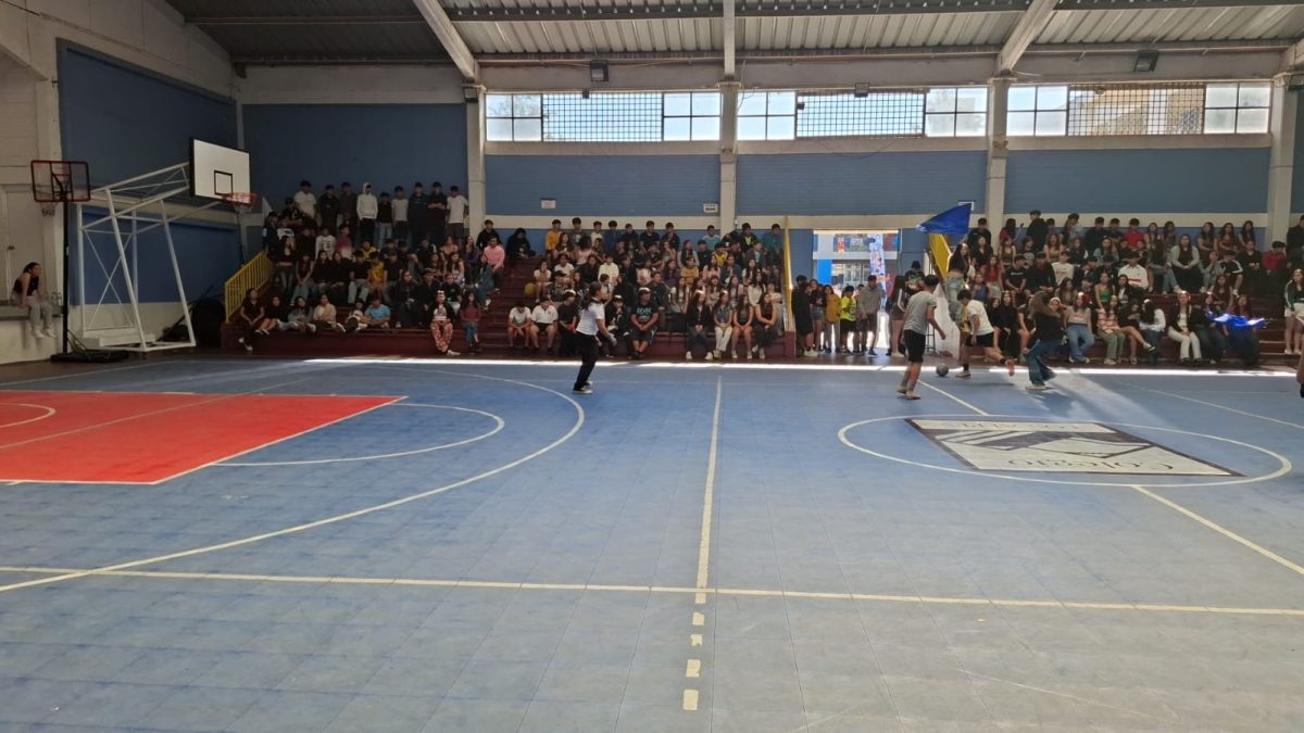 Aniversario Colegio Los Alpes