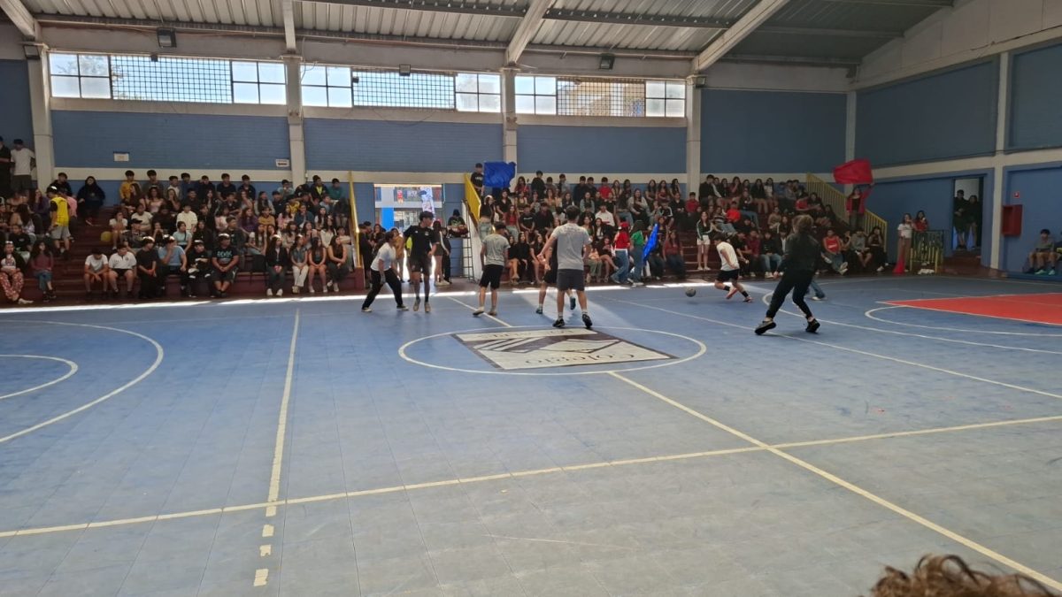 Aniversario Colegio Los Alpes