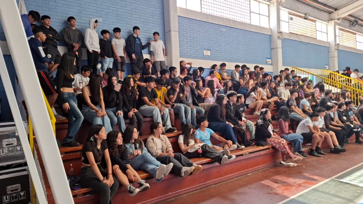 Aniversario Colegio Los Alpes