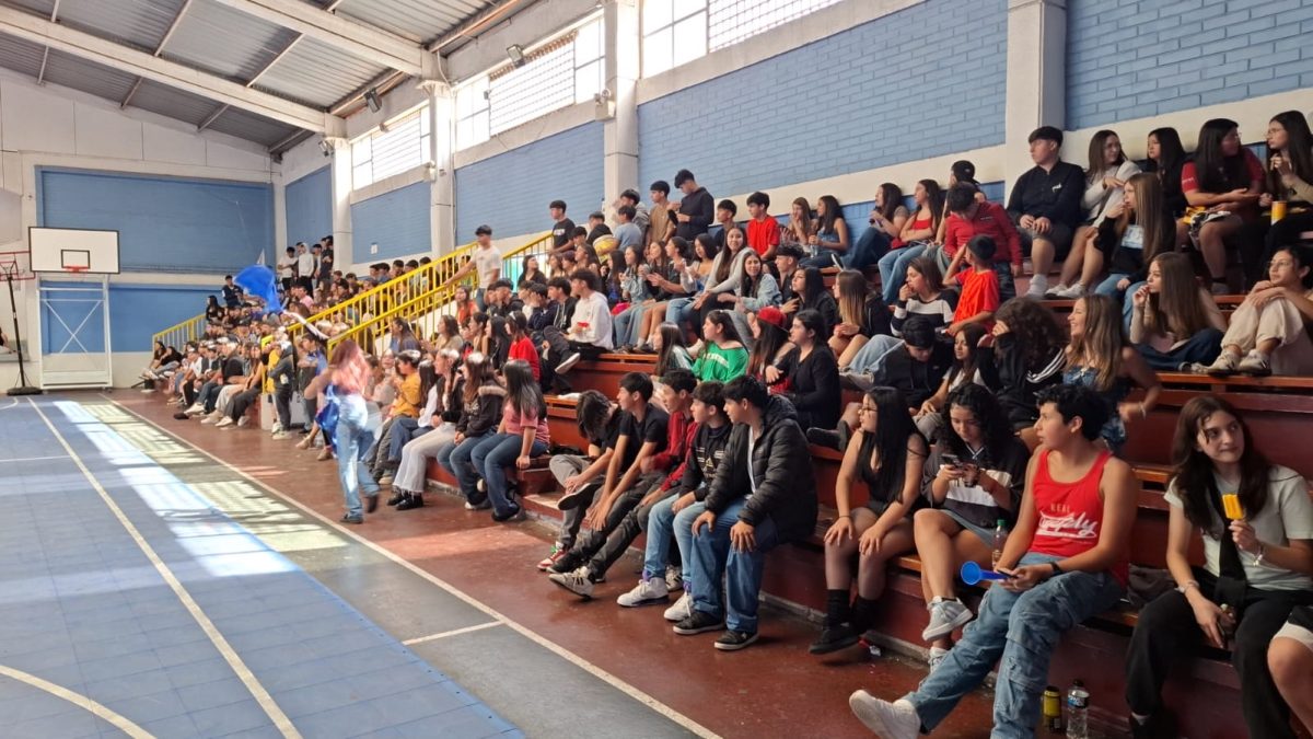 Aniversario Colegio Los Alpes