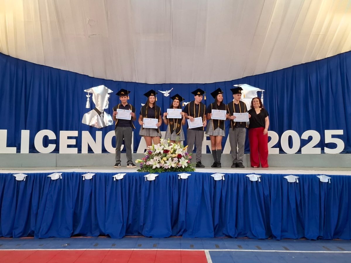 Licenciatura 2026