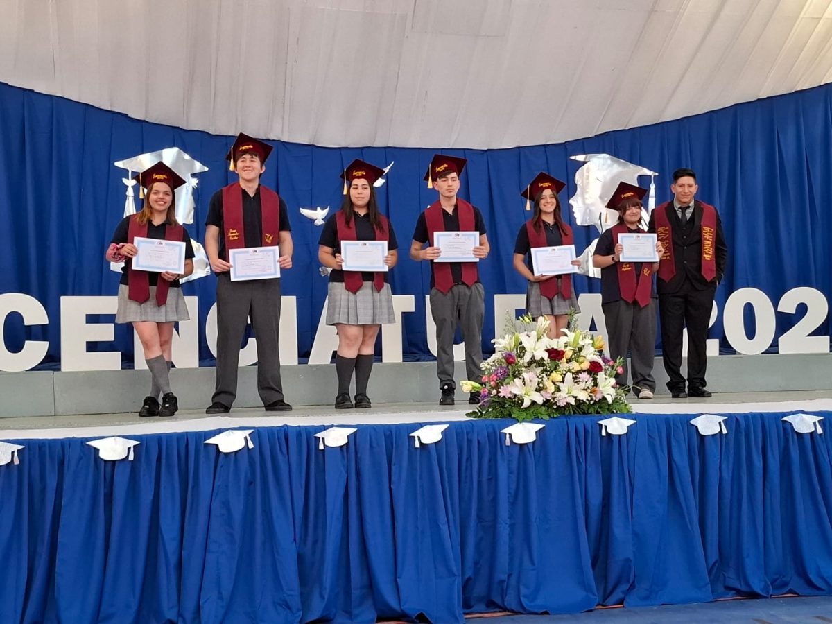 Licenciatura 2026