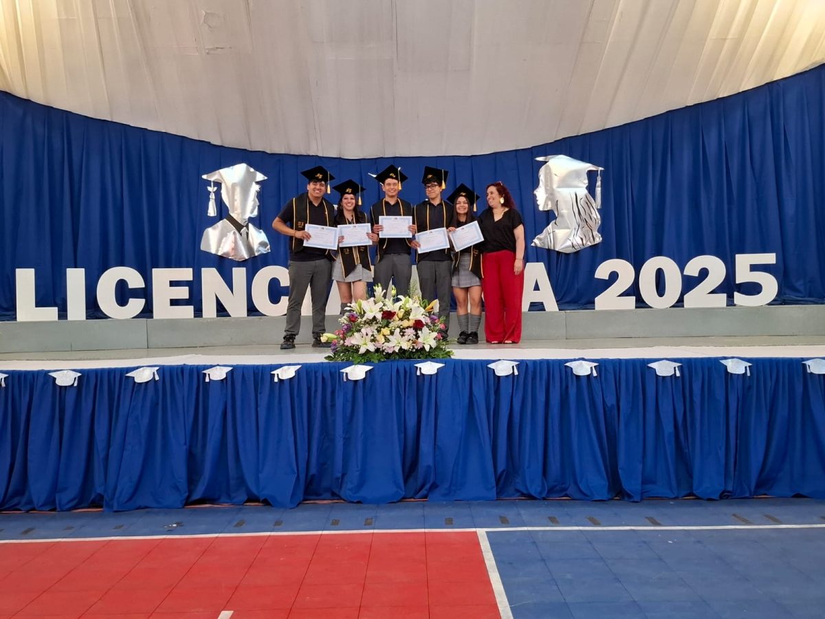Licenciatura 2026