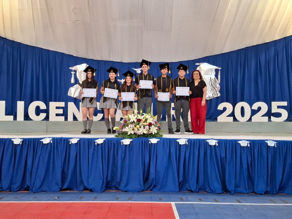 Licenciatura 2026