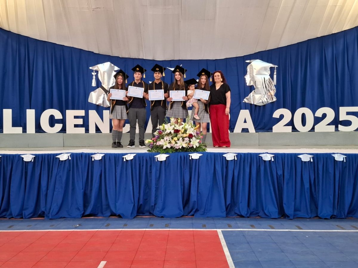 Licenciatura 2026