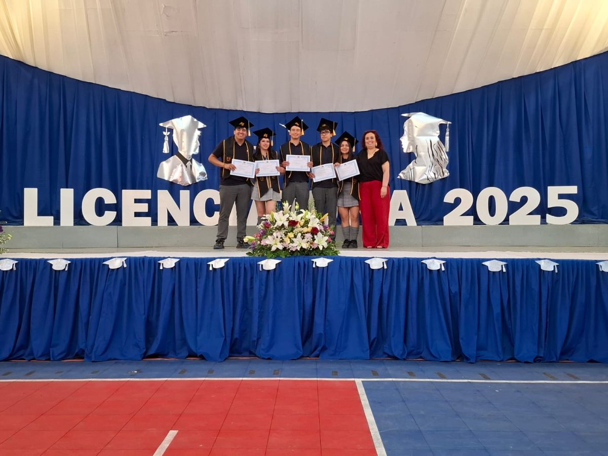 Licenciatura 2026