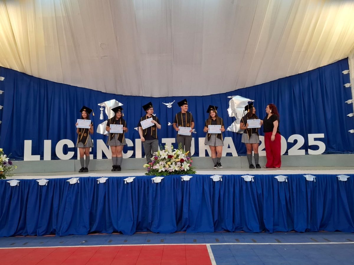 Licenciatura 2026