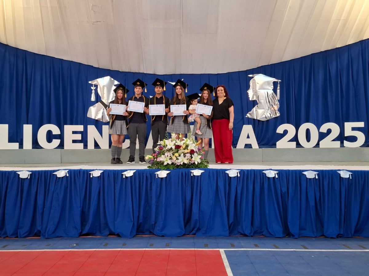 Licenciatura 2026