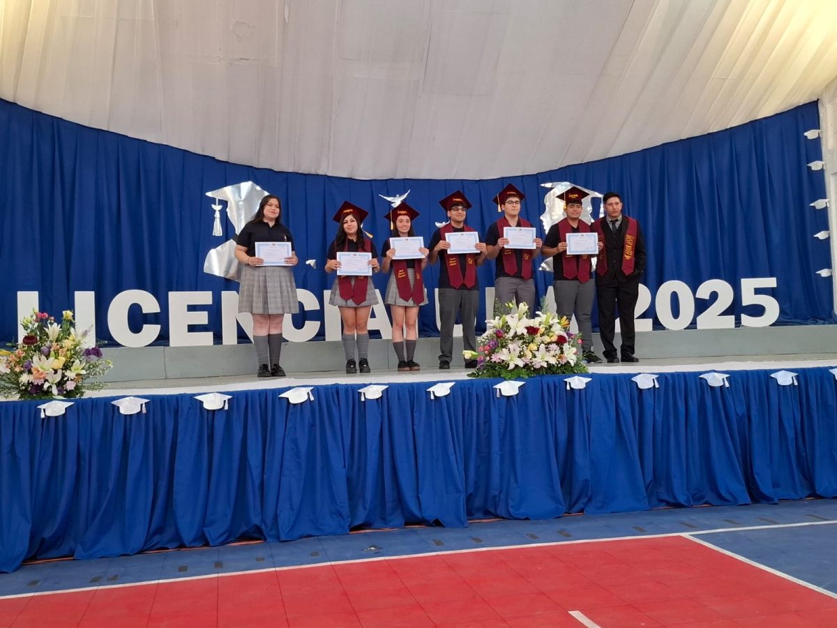 Licenciatura 2026
