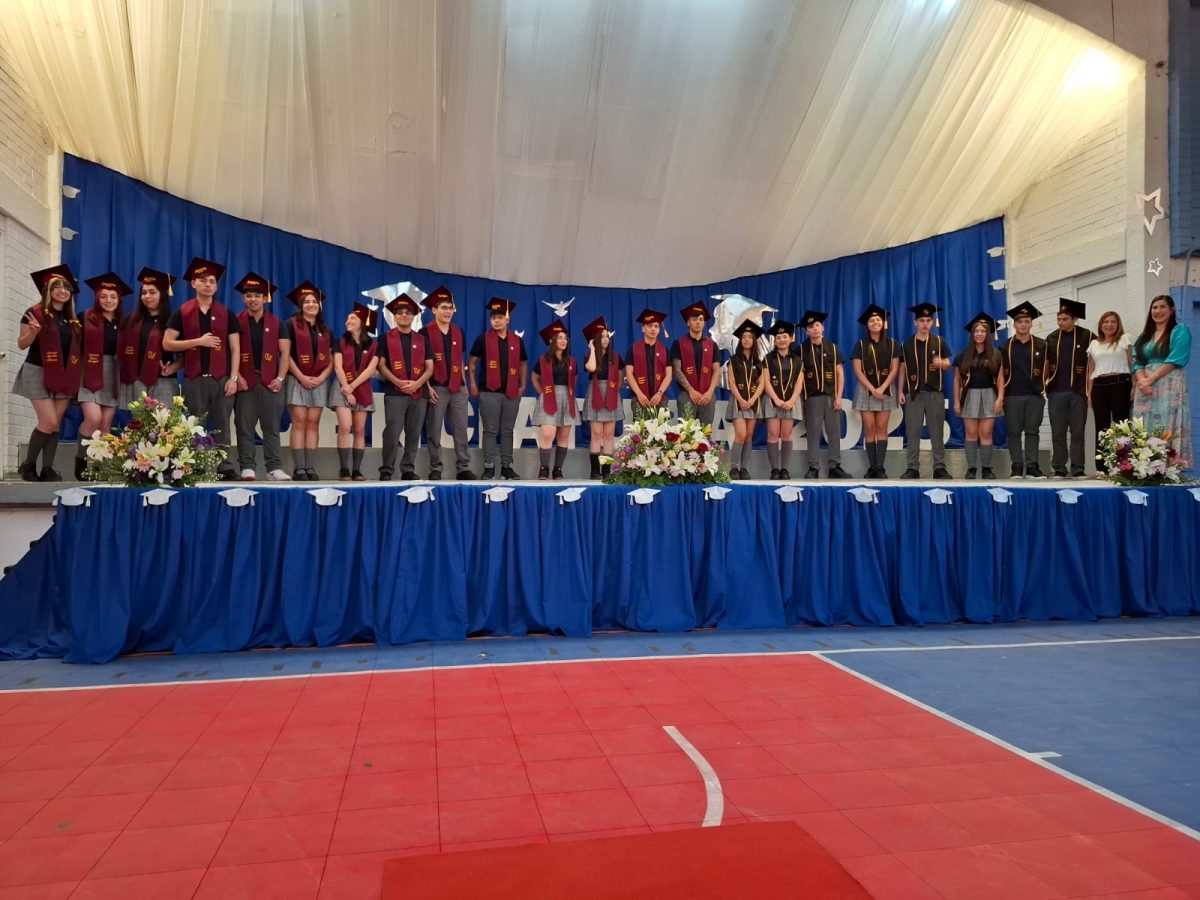 Licenciatura 2026