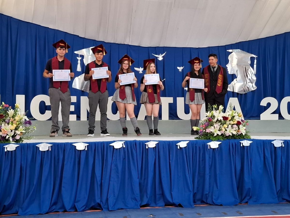 Licenciatura 2026