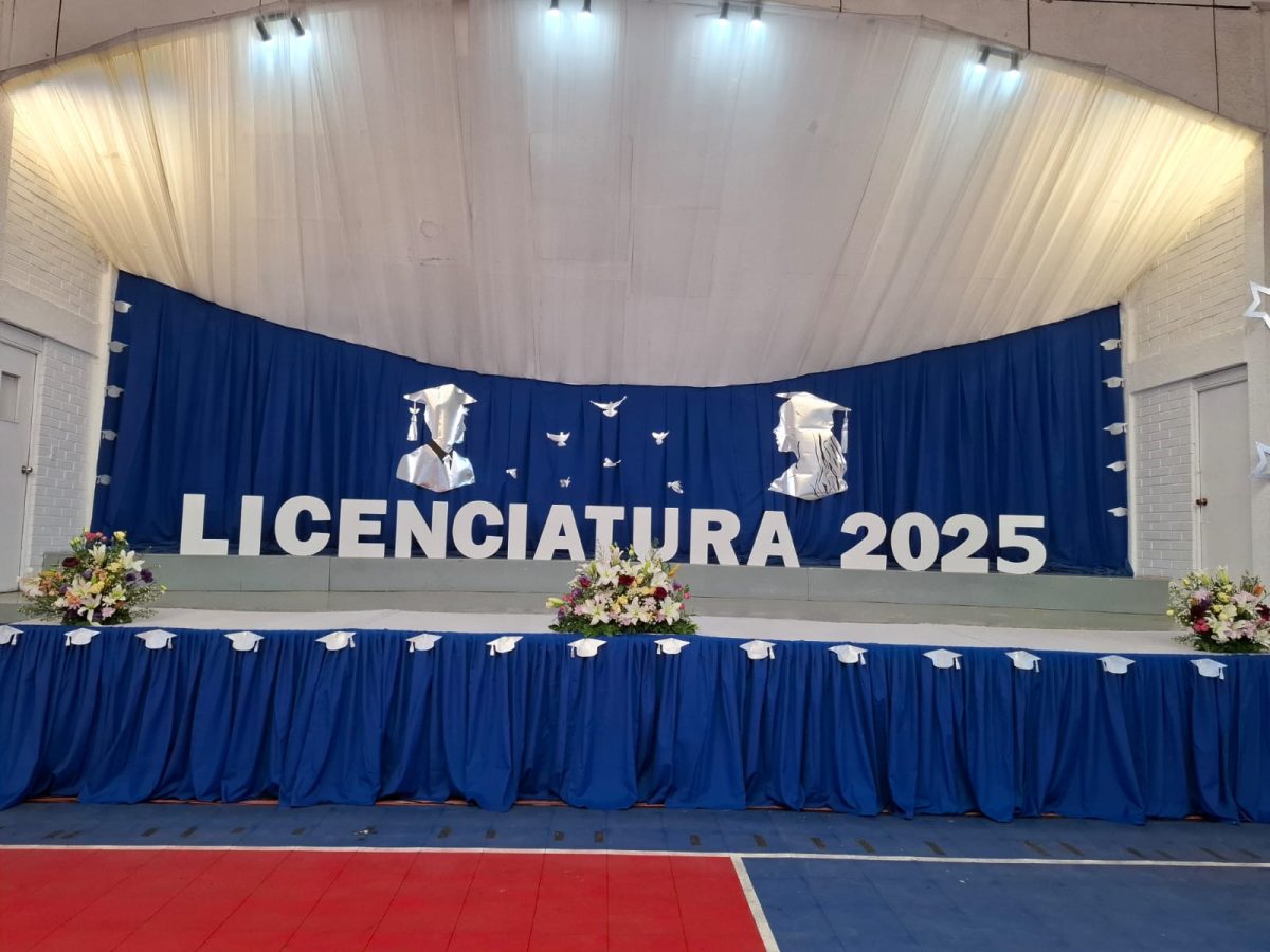 Licenciatura 2026