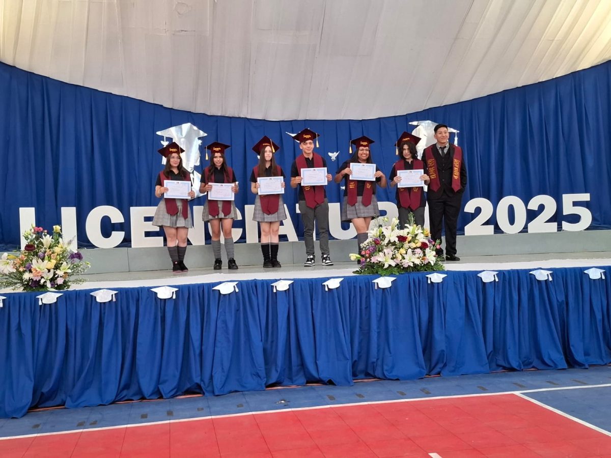 Licenciatura 2026