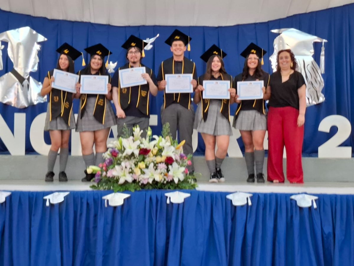 Licenciatura 2026