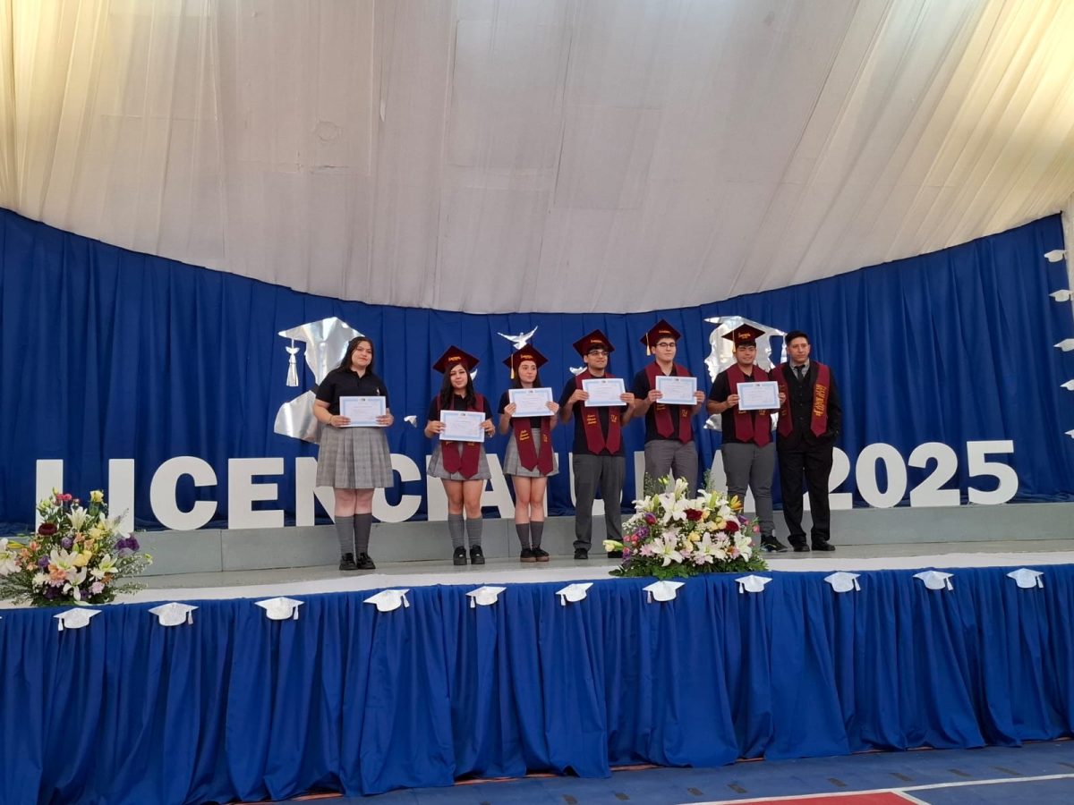 Licenciatura 2026