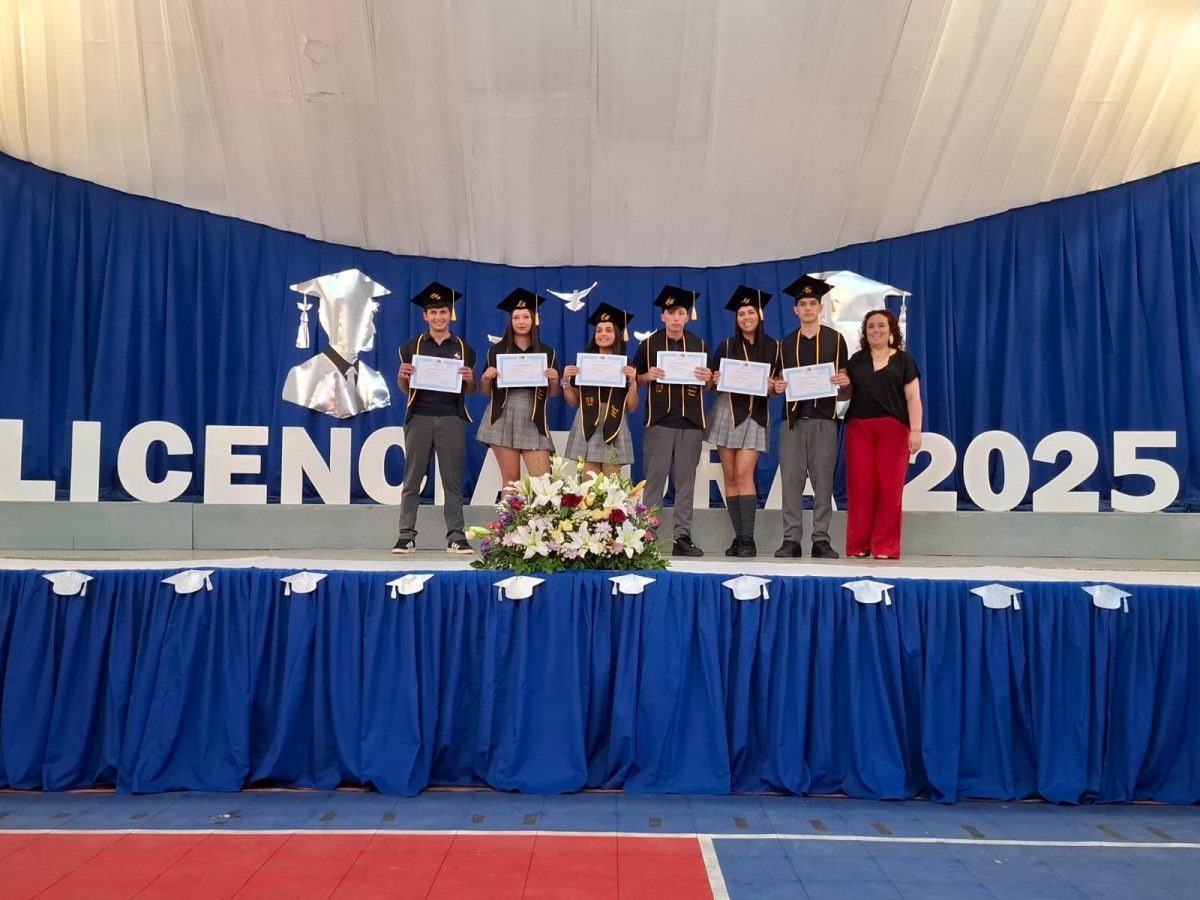 Licenciatura 2026