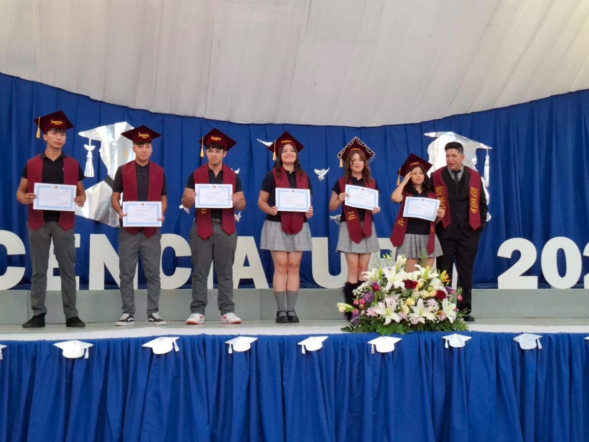 Licenciatura 2026