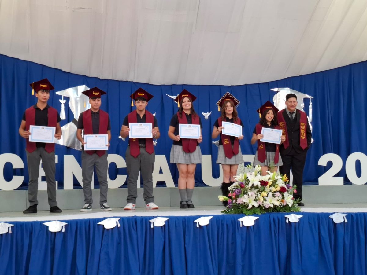 Licenciatura 2026