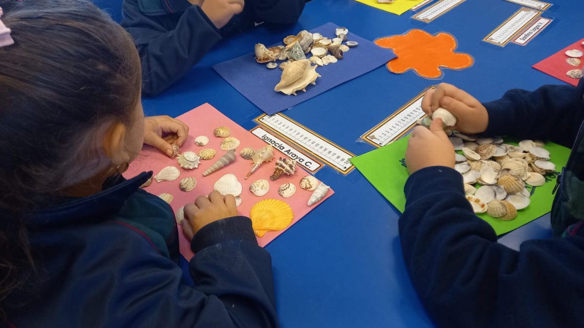 Implementación del Programa de Matemática Astoreca en Kínder 2026